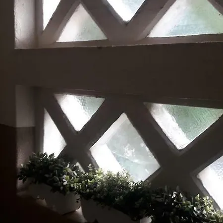 Oasis Design Flat