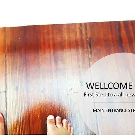 Oasis Design Flat